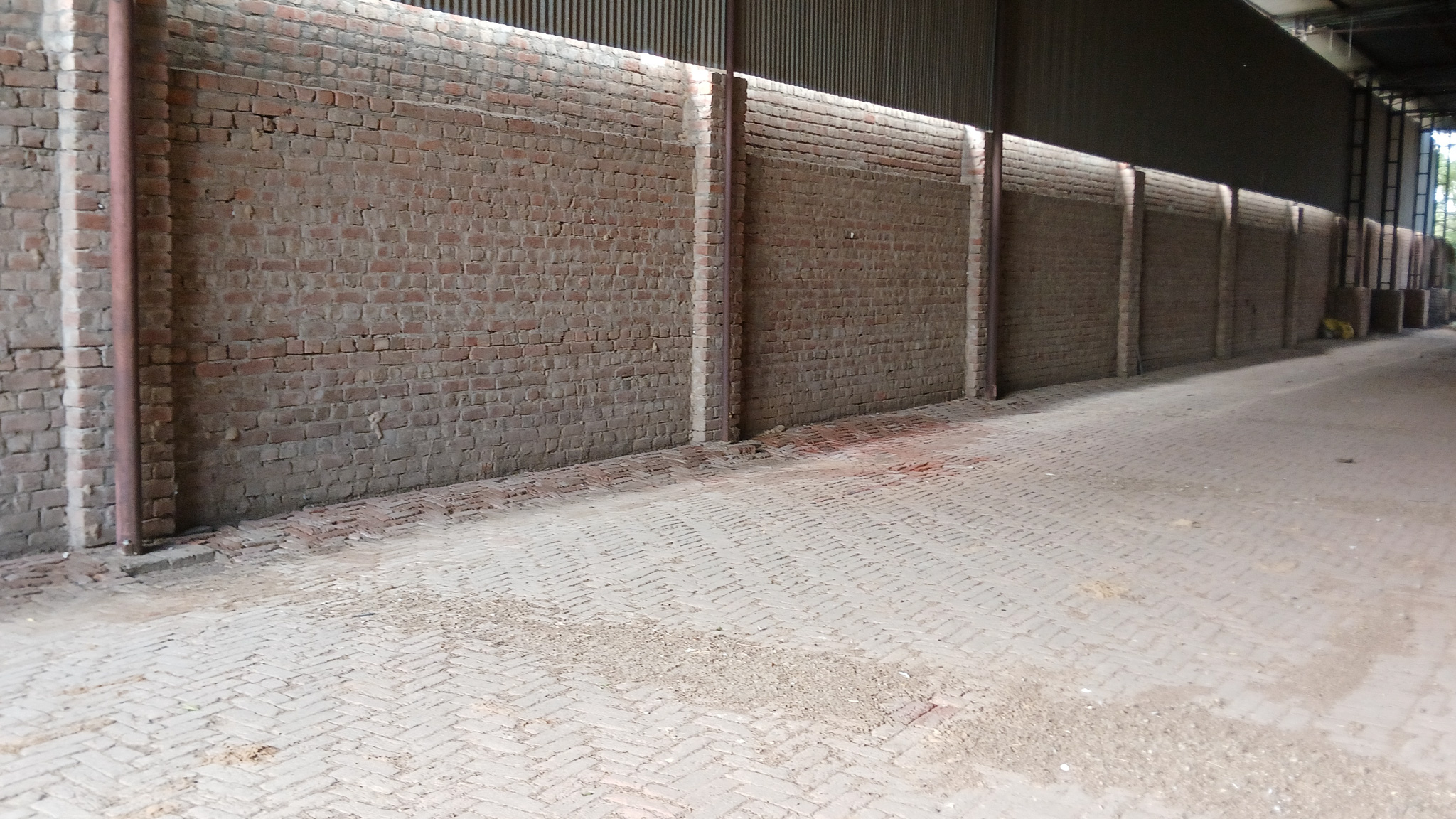 2781 square yard Godowns for sale in Bhattu Kalan, Distt-Fatehabad Fatehabad — photo 10