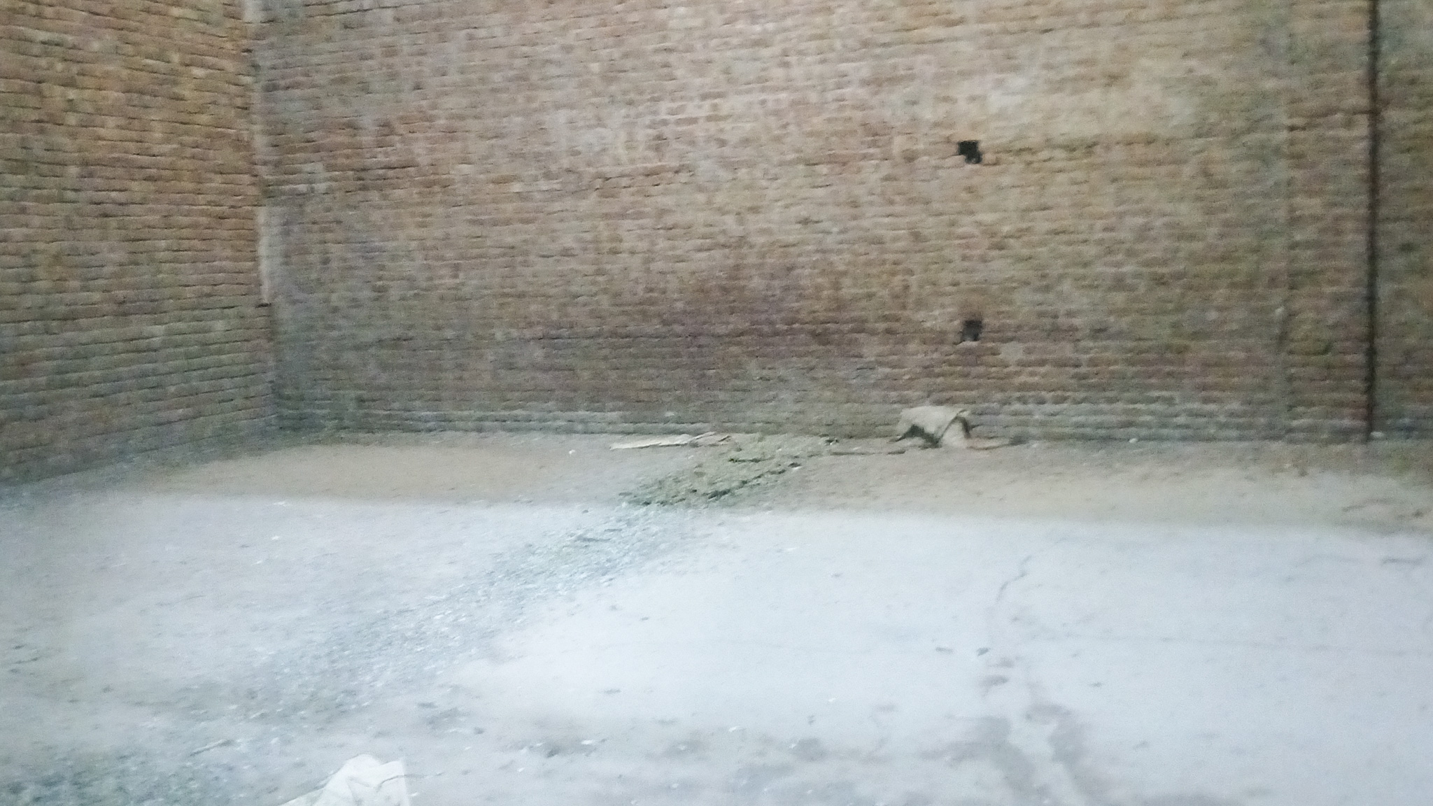2781 square yard Godowns for sale in Bhattu Kalan, Distt-Fatehabad Fatehabad — photo 16