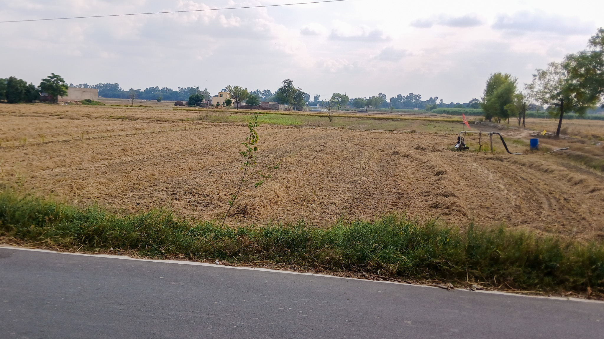2781 square yard Godowns for sale in Bhattu Kalan, Distt-Fatehabad Fatehabad — photo 25