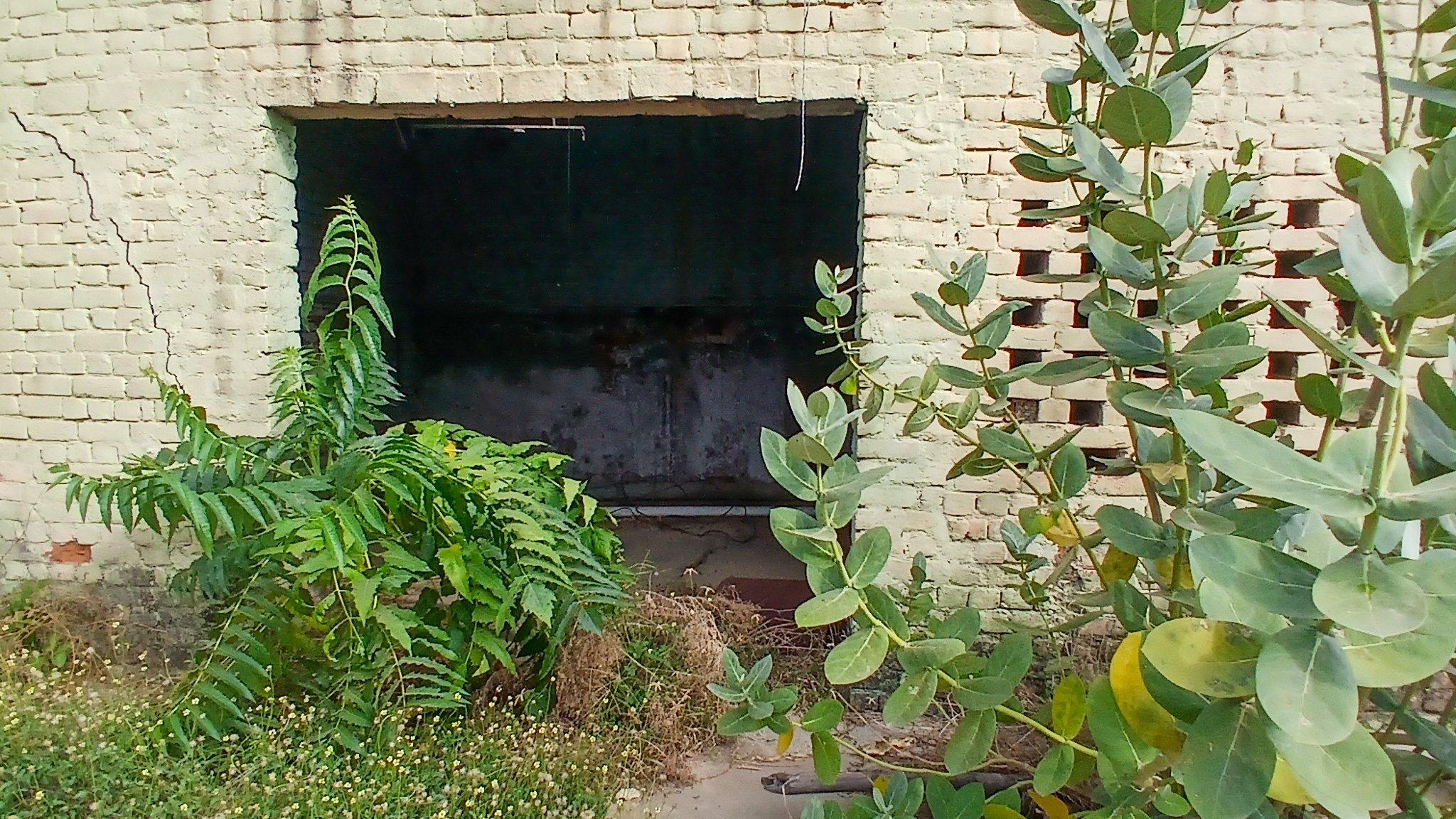 5324.08 square yard Godowns for sale in Bhattu Kalan, Distt-Fatehabad Fatehabad — photo 11