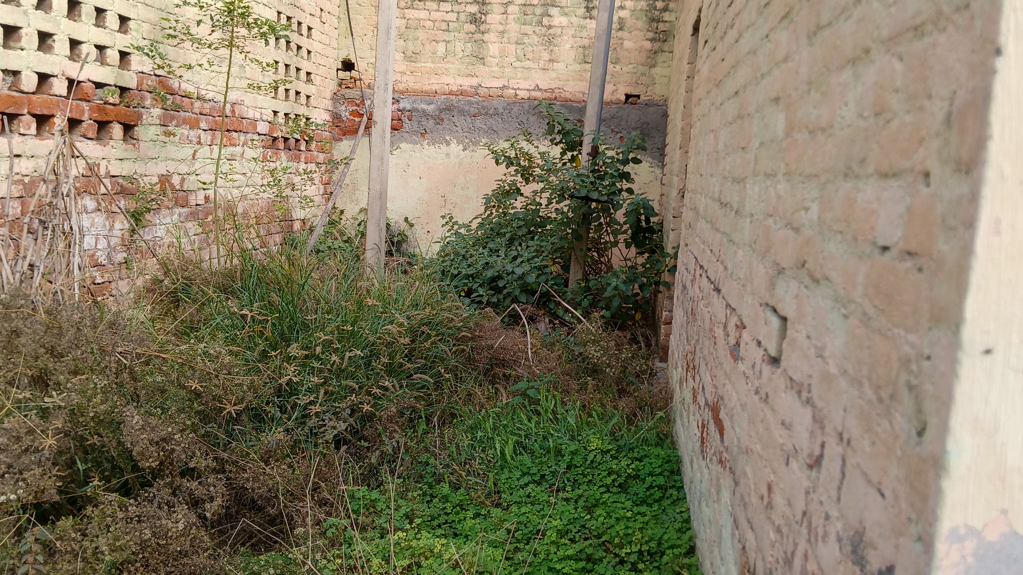 5324.08 square yard Godowns for sale in Bhattu Kalan, Distt-Fatehabad Fatehabad — photo 10