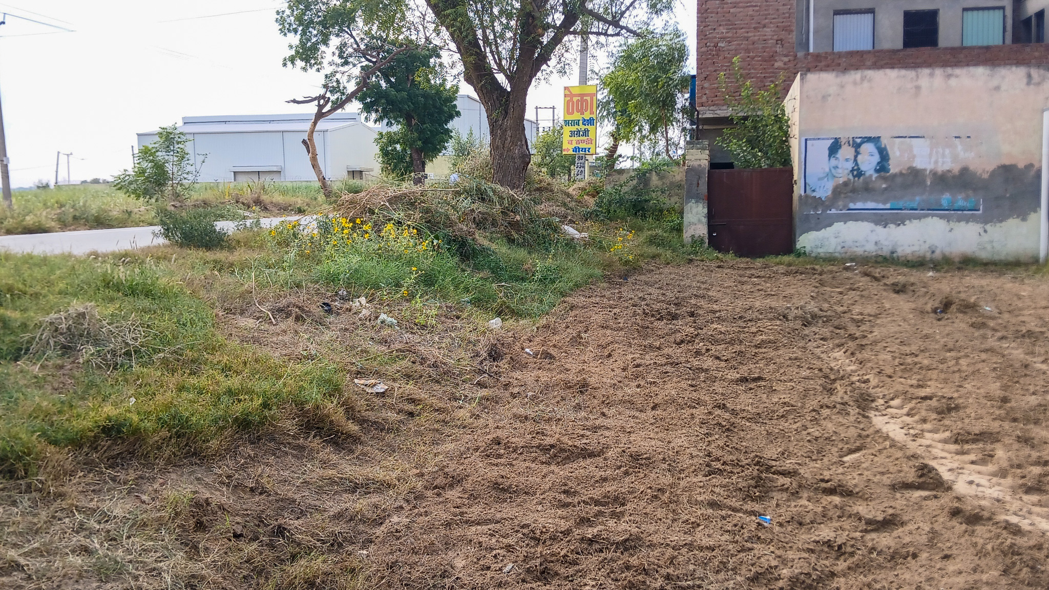 5324.08 square yard Godowns for sale in Bhattu Kalan, Distt-Fatehabad Fatehabad — photo 4
