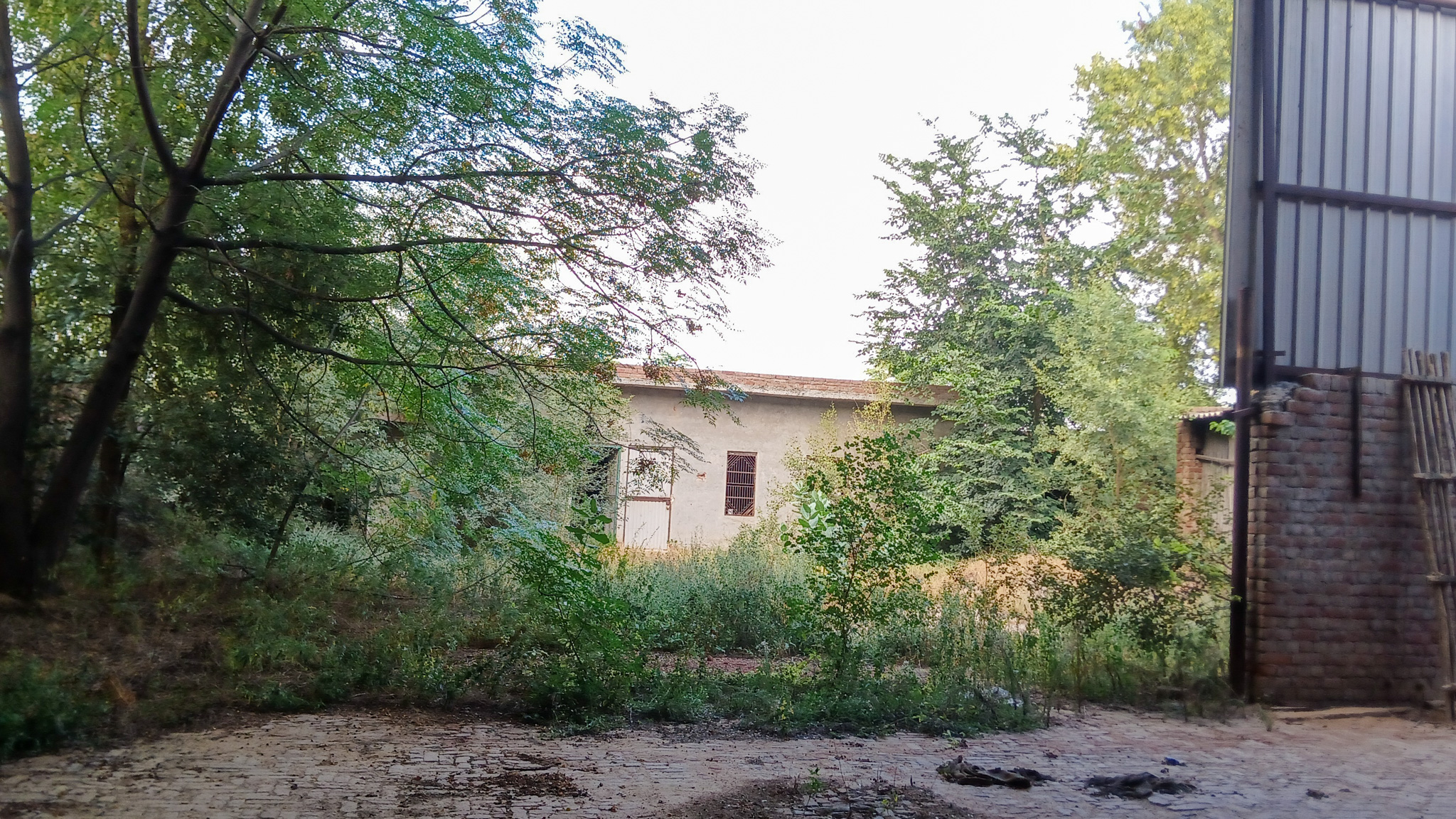 2781 square yard Godowns for sale in Bhattu Kalan, Distt-Fatehabad Fatehabad — photo 20