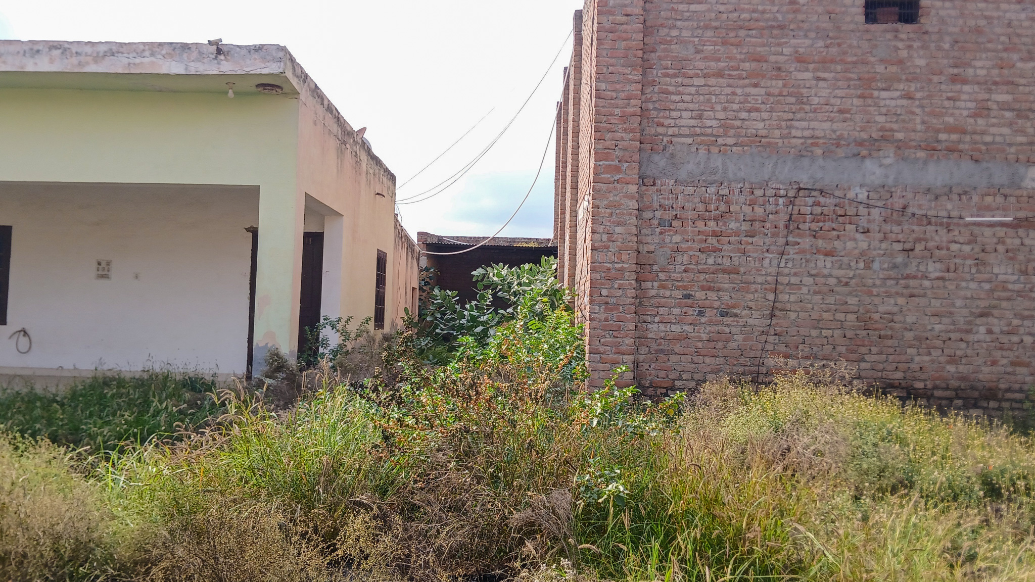 5324.08 square yard Godowns for sale in Bhattu Kalan, Distt-Fatehabad Fatehabad — photo 15