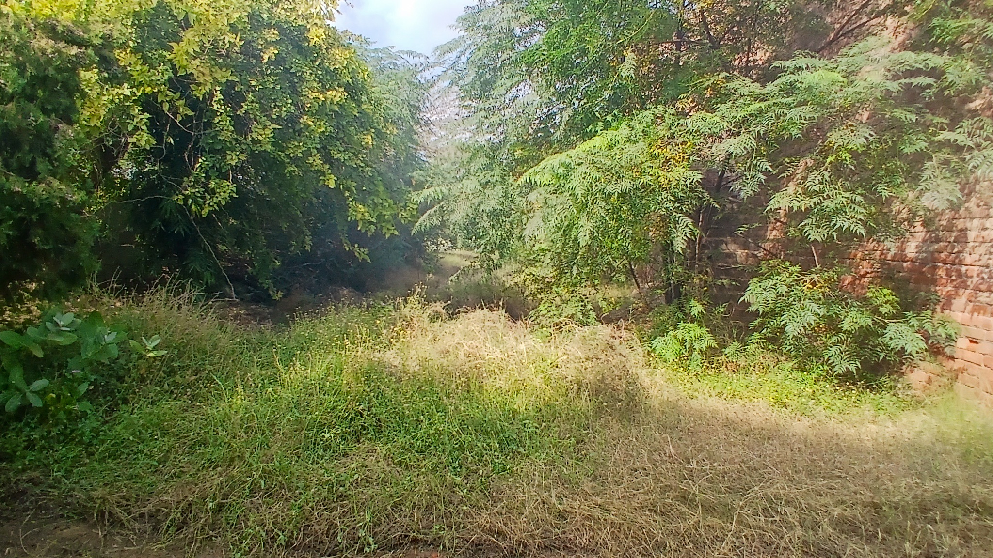 5324.08 square yard Godowns for sale in Bhattu Kalan, Distt-Fatehabad Fatehabad — photo 23