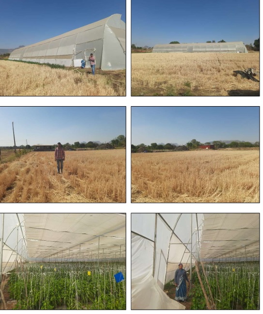 land + poly shed for sale in Nashik — photo 1